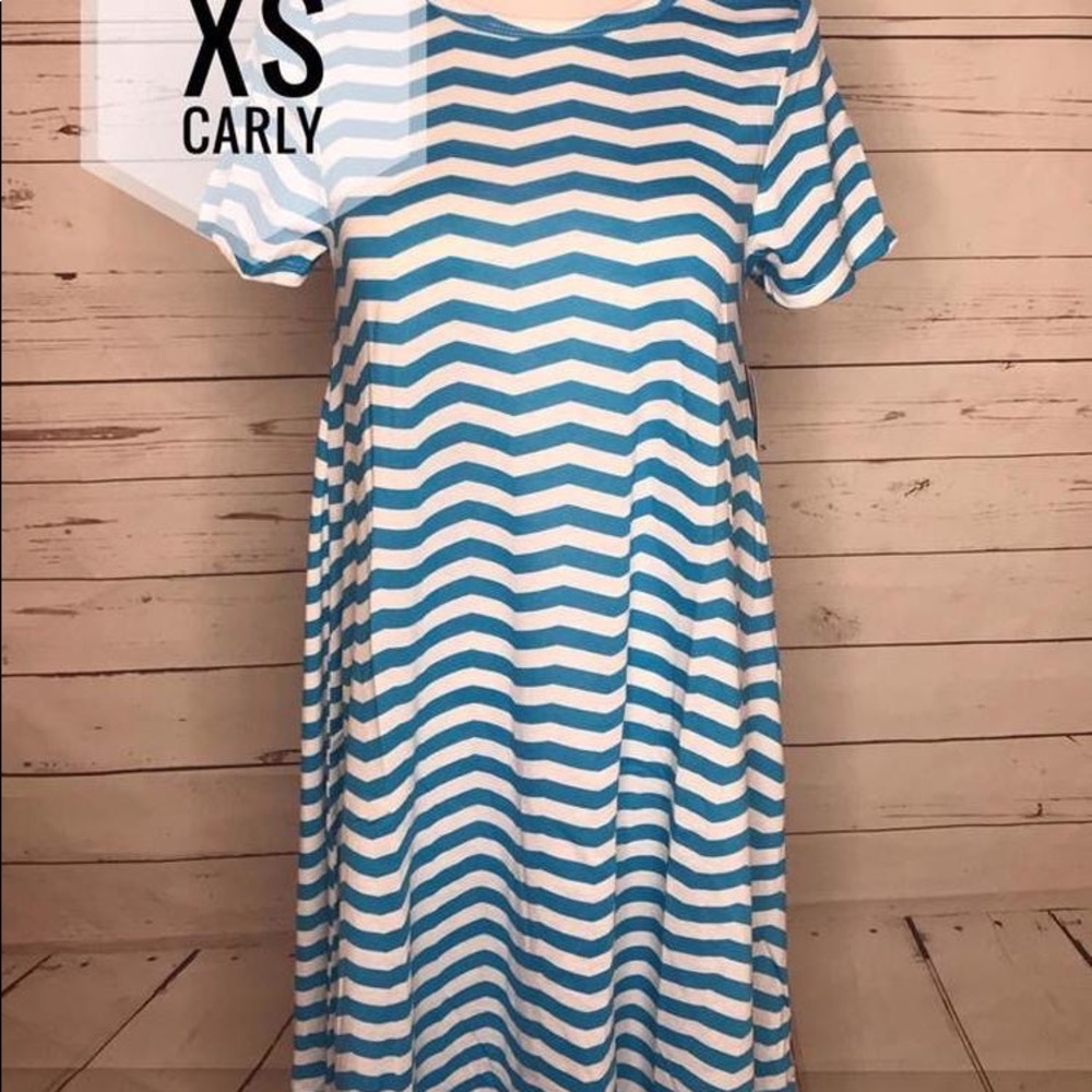 Lularoe Carly size XS NWT